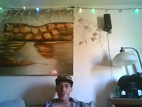 Show webcam de theboobietrap