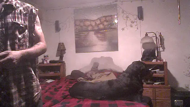 theboobietrap Pertunjukan Webcam