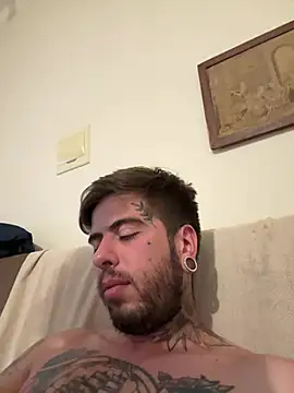 Show webcam de fire-vex