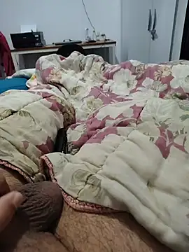 Show de webcam de Willdpo