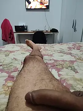 Show Webcam de Willdpo