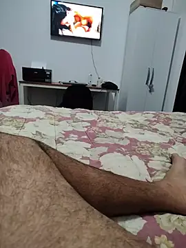 Show de Willdpo na webcam
