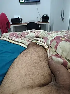 Show de Willdpo na webcam