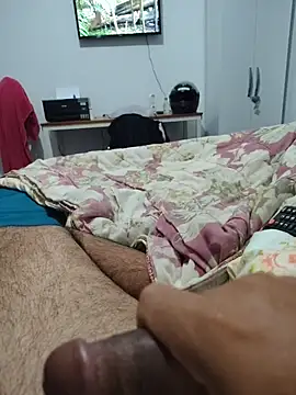 Show de Willdpo na webcam