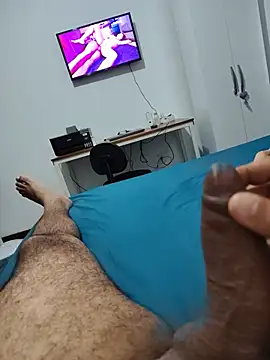 Show de Willdpo na webcam