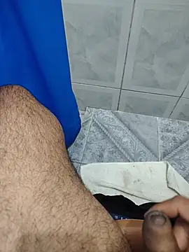 Show de webcam de Willdpo