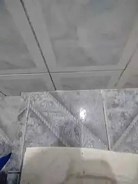 Show de Willdpo na webcam