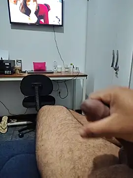 Willdpo Webcam Show
