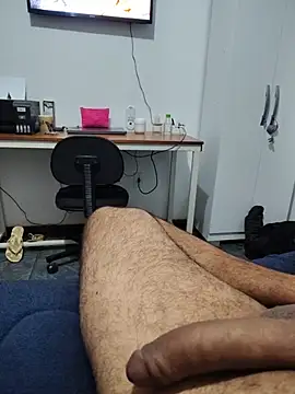 Show de webcam de Willdpo