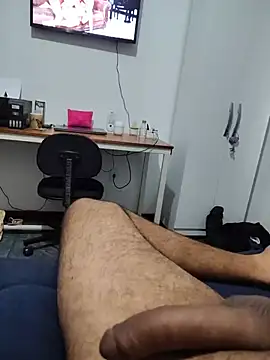 Willdpo 网络视讯表演
