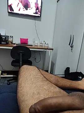 Show de Willdpo na webcam