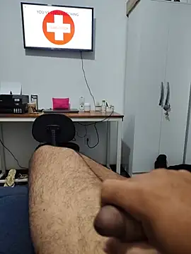 Show de Willdpo na webcam