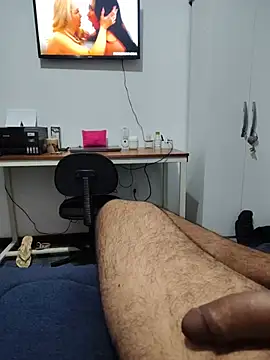 Show de webcam de Willdpo