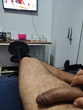 Show de webcam de Willdpo
