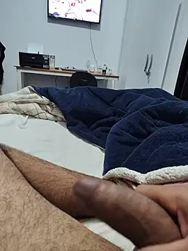 Show de Willdpo na webcam