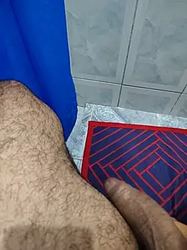 Show de Willdpo na webcam
