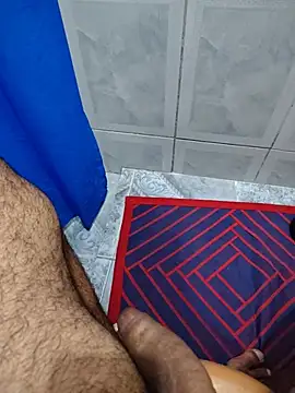 Show de Willdpo na webcam