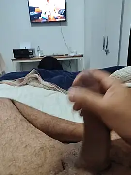 Show de Willdpo na webcam