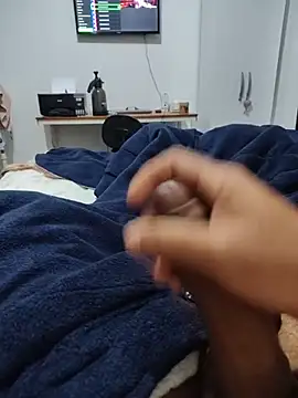Show de Willdpo na webcam