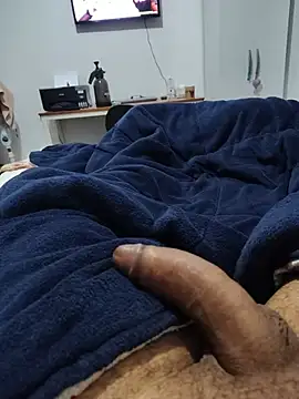 Willdpo Webcam show