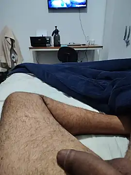 Show de Willdpo na webcam
