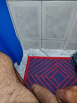 Willdpo's Webcam Show