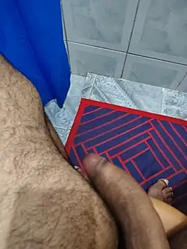 Show de Willdpo na webcam
