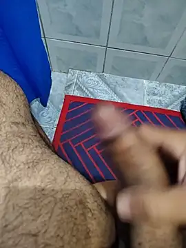 Show de webcam de Willdpo