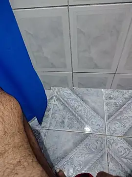 Show de webcam de Willdpo
