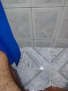 Show de Willdpo na webcam