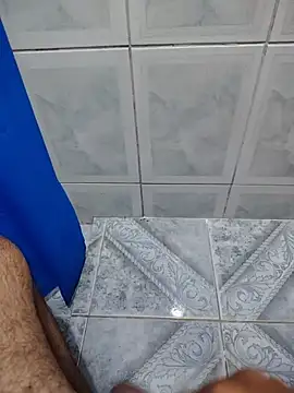 Willdpo Webcam-Show