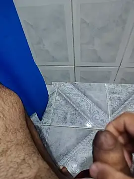 Show de webcam de Willdpo