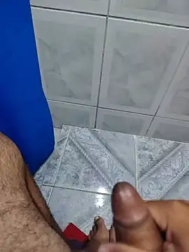 Willdpo Webcam-Show