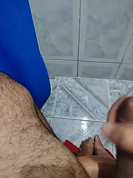 Show de webcam de Willdpo
