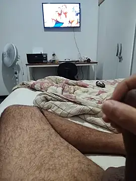 Show de Willdpo na webcam