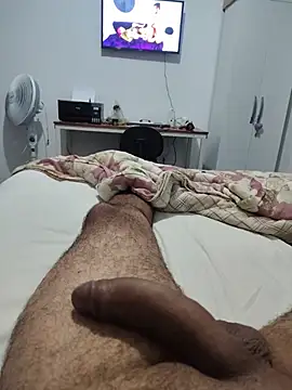 Show de Willdpo na webcam
