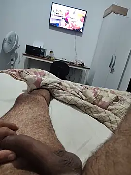 Show de Willdpo na webcam
