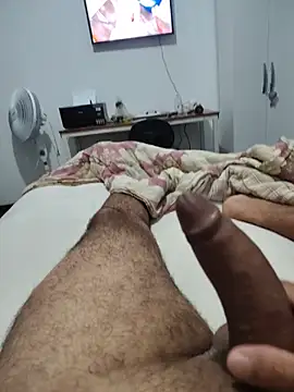 Show de webcam de Willdpo