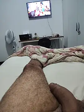 Show de webcam de Willdpo