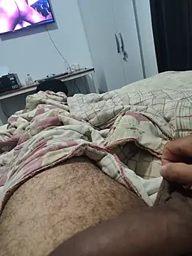 Show de Willdpo na webcam