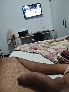 Show de Willdpo na webcam