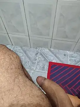 Show Webcam de Willdpo