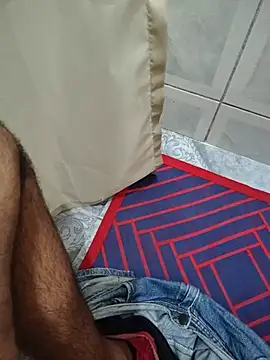 Pertunjukan Kamera Web Willdpo