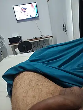 Show de Willdpo na webcam