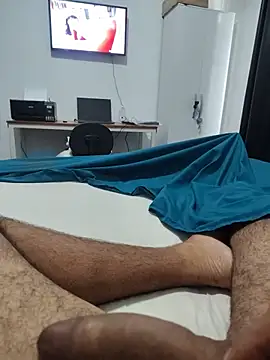 Show de Willdpo na webcam