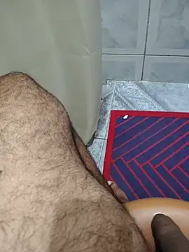 Show de webcam de Willdpo