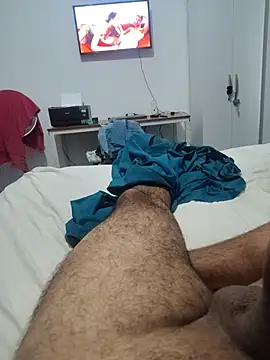 Show de Willdpo na webcam