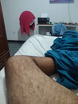 Show de webcam de Willdpo