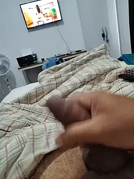 Show de Willdpo na webcam