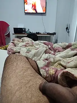 Show de webcam de Willdpo